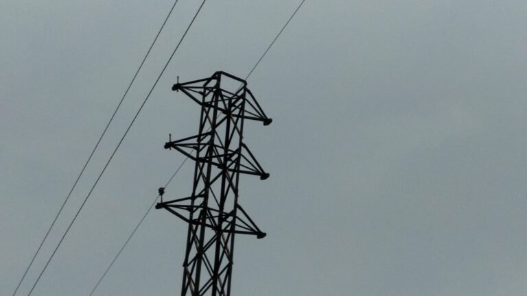IMG-20220610-WA0015
