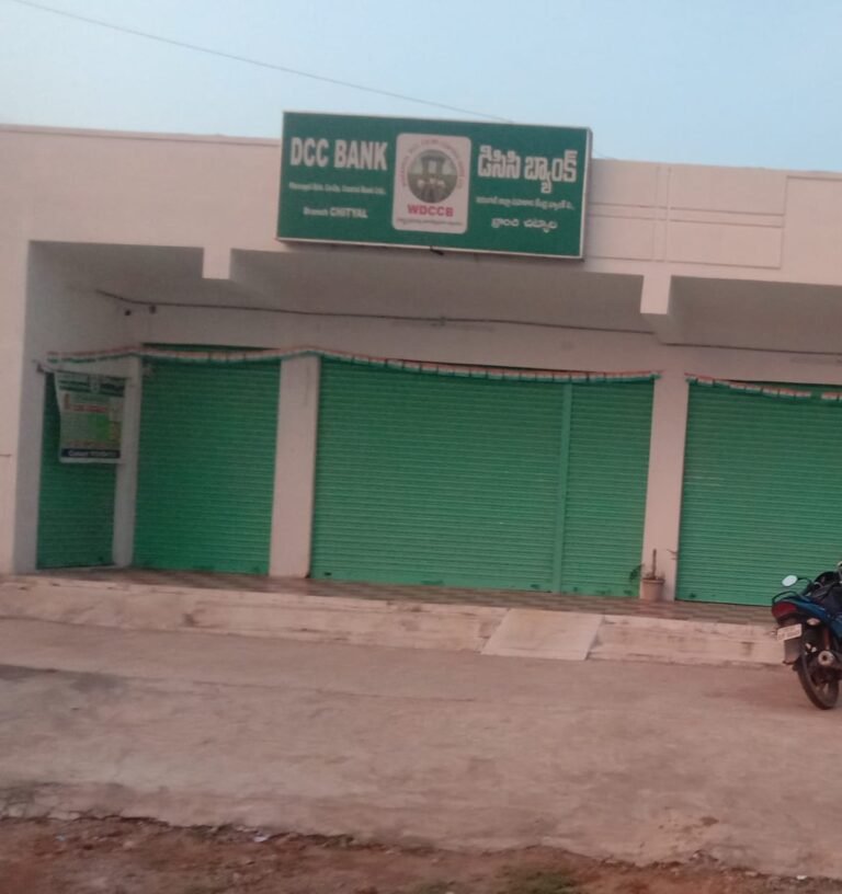 WhatsApp Image 2023-09-26 at 6.26.52 PM