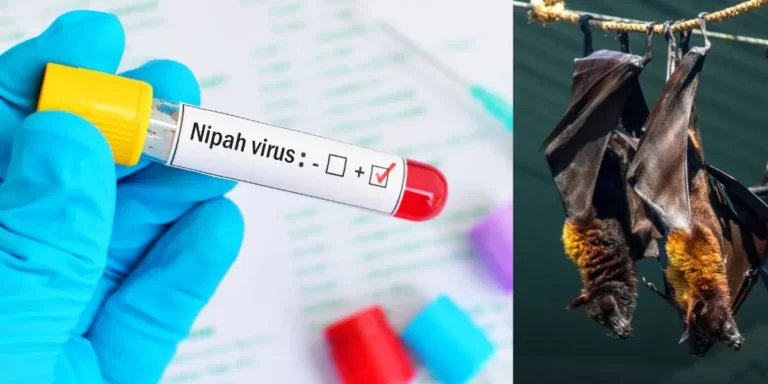 Why-Is-Nipah-Virus-In-News