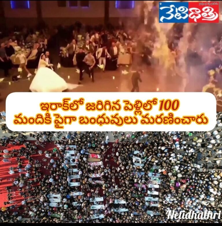 WhatsApp Image 2023-10-05 at 12.59.55 PM