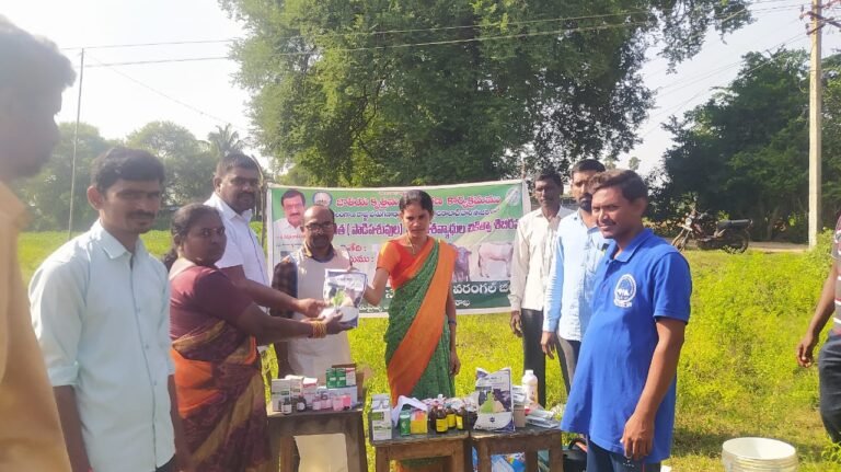 WhatsApp Image 2023-10-06 at 2.21.37 PM