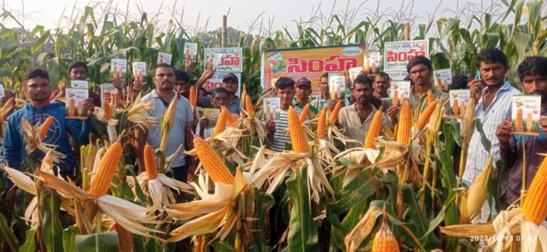 WhatsApp Image 2023-10-13 at 2.18.08 PM