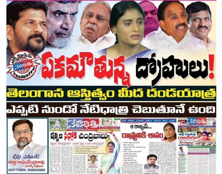 WhatsApp Image 2023-11-03 at 8.15.31 PM