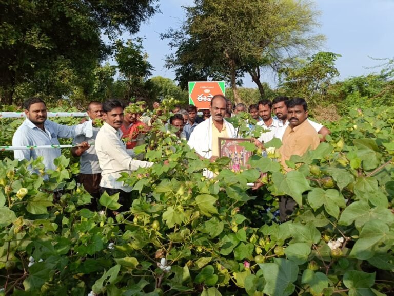 WhatsApp Image 2023-11-06 at 4.10.11 PM