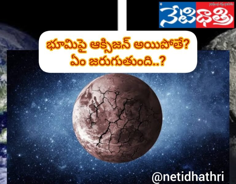WhatsApp Image 2023-12-10 at 5.07.39 PM