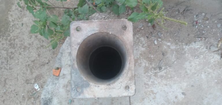 WhatsApp Image 2023-12-11 at 1.26.05 PM