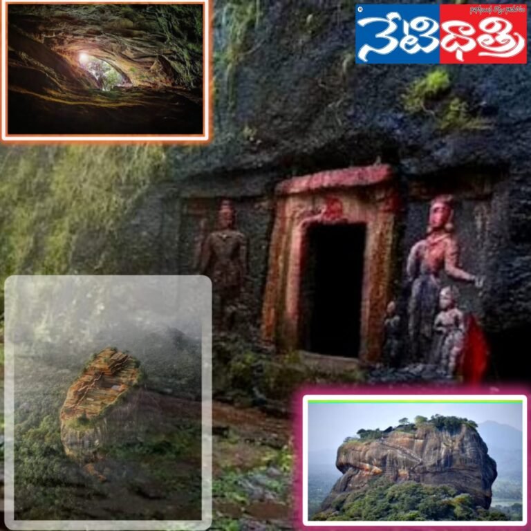 WhatsApp Image 2023-12-12 at 3.01.50 PM
