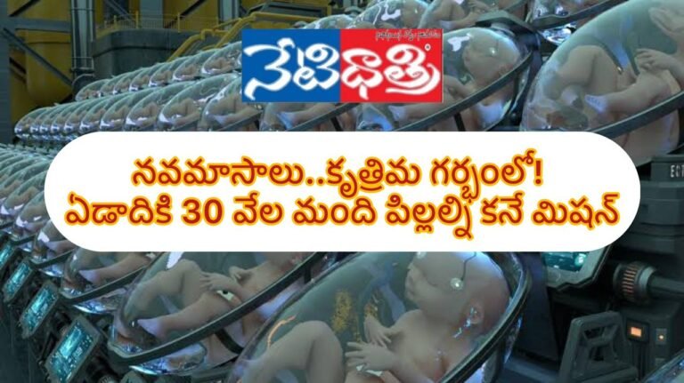 WhatsApp Image 2023-12-14 at 3.50.19 PM