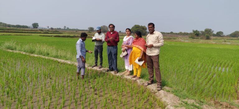 WhatsApp Image 2024-01-18 at 4.51.48 PM