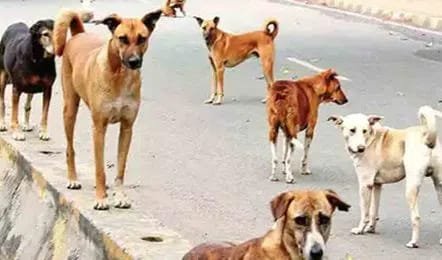 WhatsApp Image 2024-02-16 at 4.48.55 PM