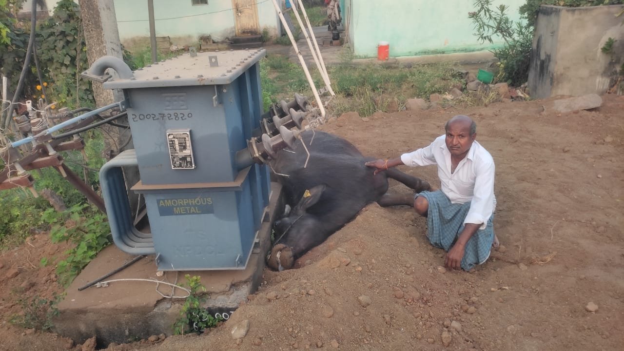 WhatsApp Image 2024-02-21 at 5.52.17 PM
