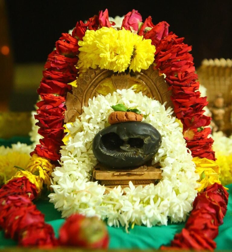 WhatsApp Image 2024-02-29 at 5.50.50 PM