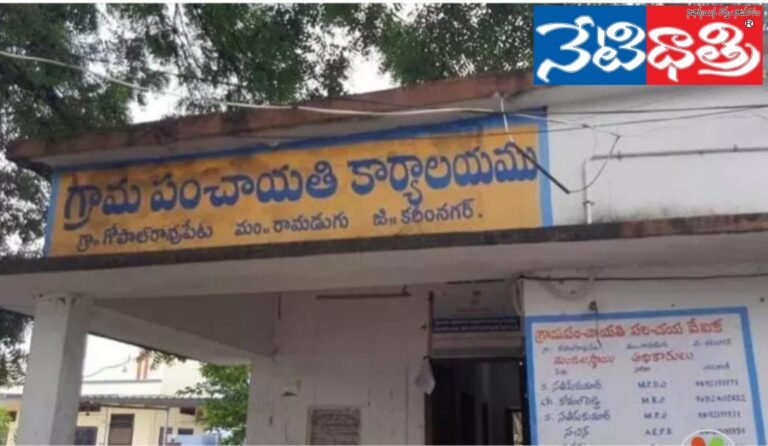 WhatsApp Image 2024-03-19 at 4.45.05 PM