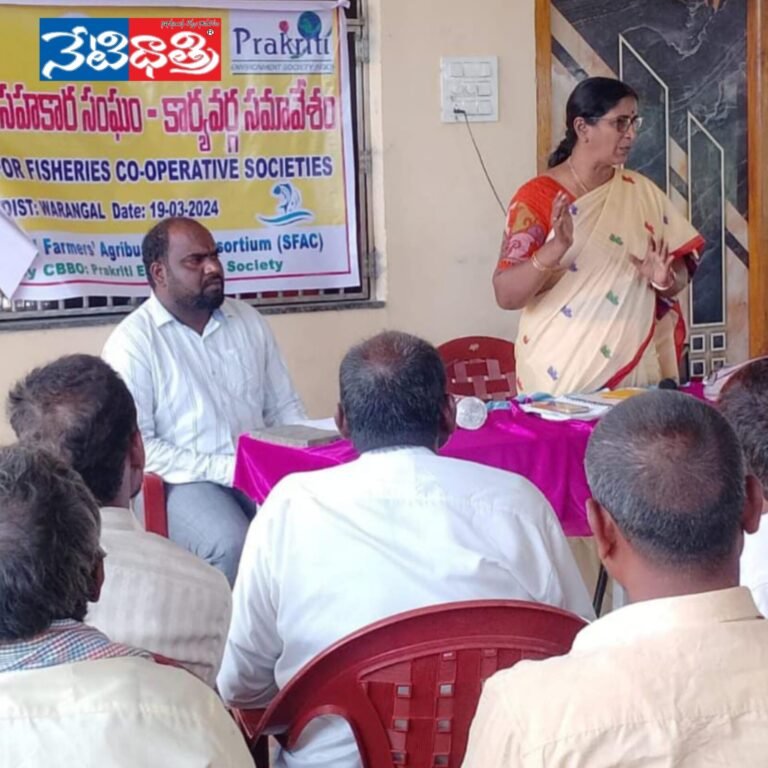 WhatsApp Image 2024-03-19 at 5.40.43 PM