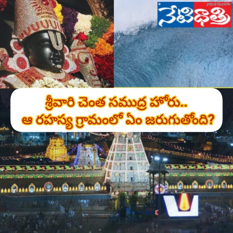 WhatsApp Image 2024-03-26 at 5.09.52 PM