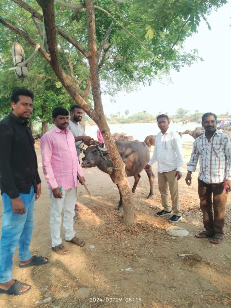 WhatsApp Image 2024-03-29 at 5.04.16 PM