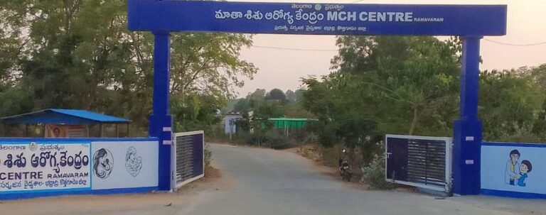 WhatsApp Image 2024-03-29 at 6.31.12 PM