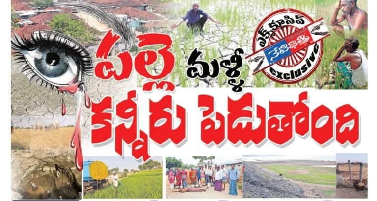 WhatsApp Image 2024-03-29 at 9.01.19 PM