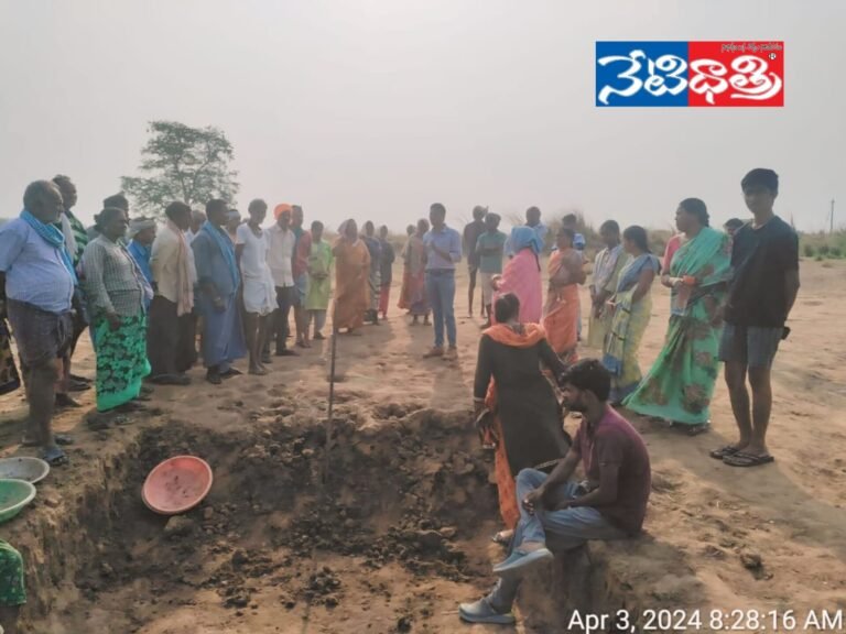 WhatsApp Image 2024-04-03 at 4.23.46 PM