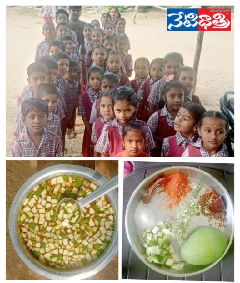 WhatsApp Image 2024-04-08 at 6.28.05 PM (2)