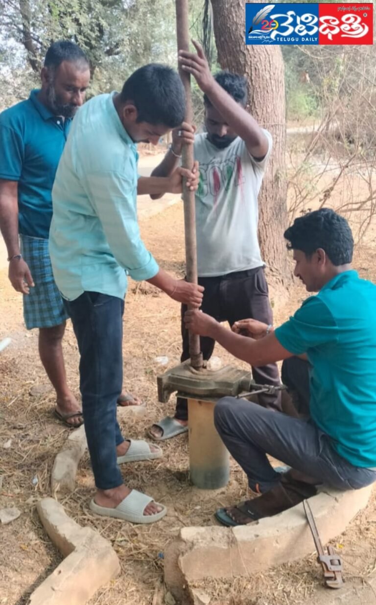 WhatsApp Image 2024-04-13 at 5.34.45 PM (2)