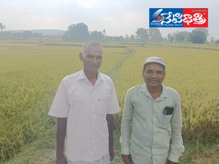 WhatsApp Image 2024-04-13 at 7.27.19 PM