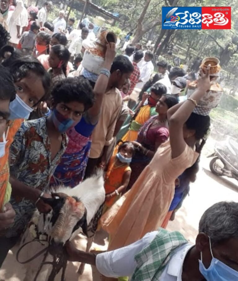 WhatsApp Image 2024-04-15 at 7.16.10 PM (1)