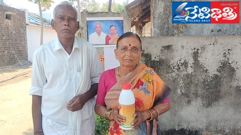 WhatsApp Image 2024-04-18 at 4.37.06 PM (1)