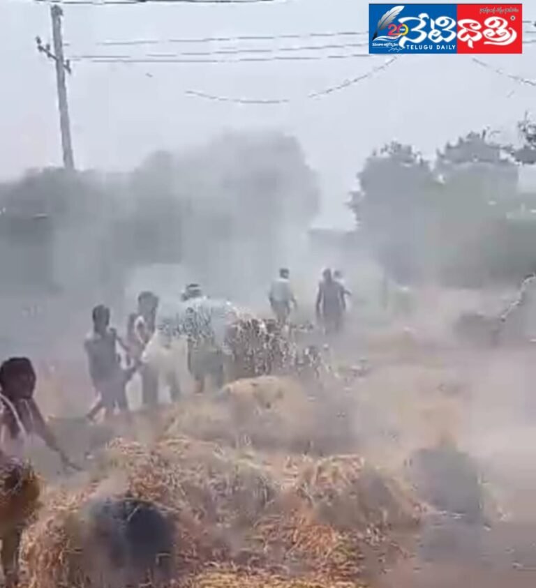 WhatsApp Image 2024-04-19 at 4.26.31 PM (1)