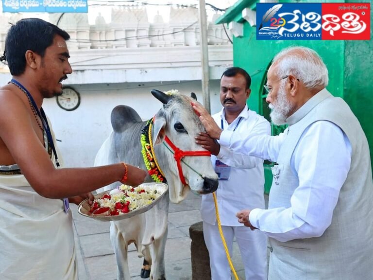 WhatsApp Image 2024-05-08 at 5.21.38 PM (1)