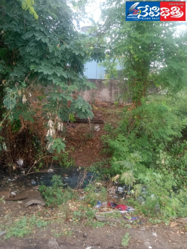 WhatsApp Image 2024-05-17 at 6.28.13 PM (1)