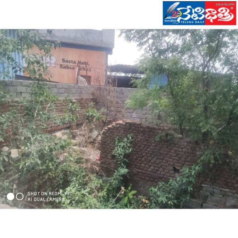 WhatsApp Image 2024-05-25 at 5.19.12 PM (1)