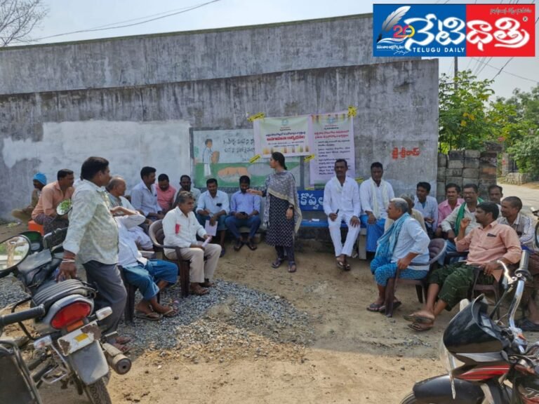 WhatsApp Image 2024-05-25 at 5.19.14 PM (1)