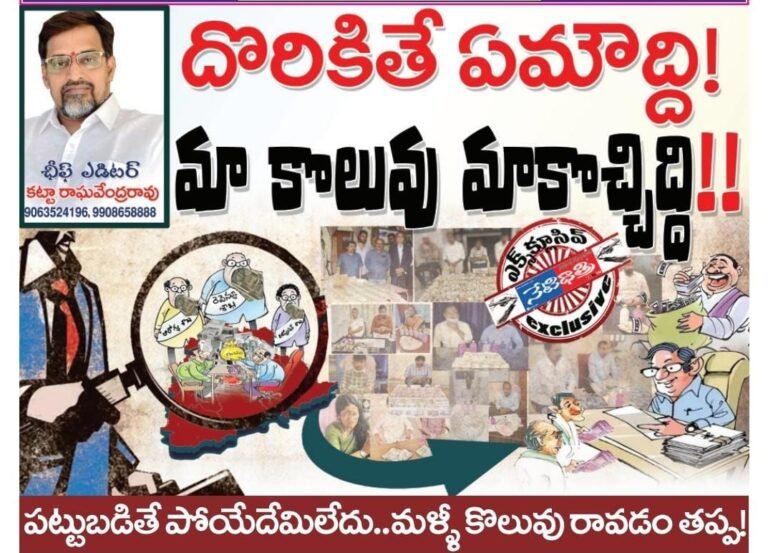 WhatsApp Image 2024-05-31 at 9.10.13 PM