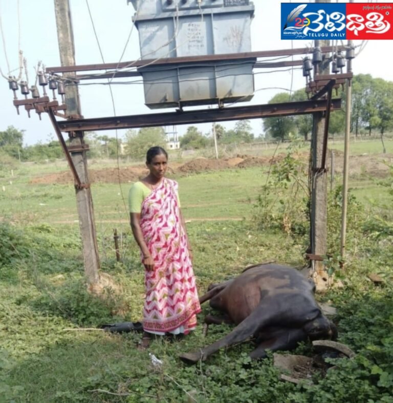 WhatsApp Image 2024-06-08 at 5.24.03 PM