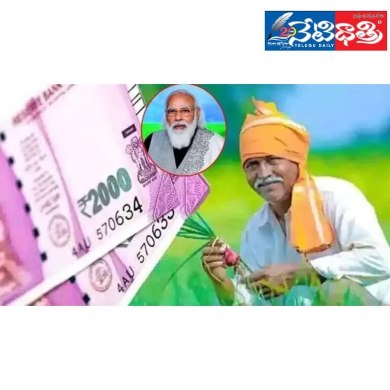 WhatsApp Image 2024-06-11 at 5.49.43 PM