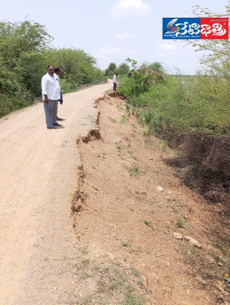 WhatsApp Image 2024-06-18 at 5.25.41 PM