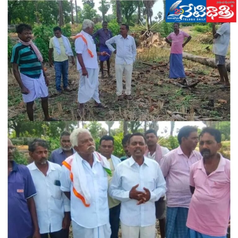 WhatsApp Image 2024-06-19 at 5.45.09 PM