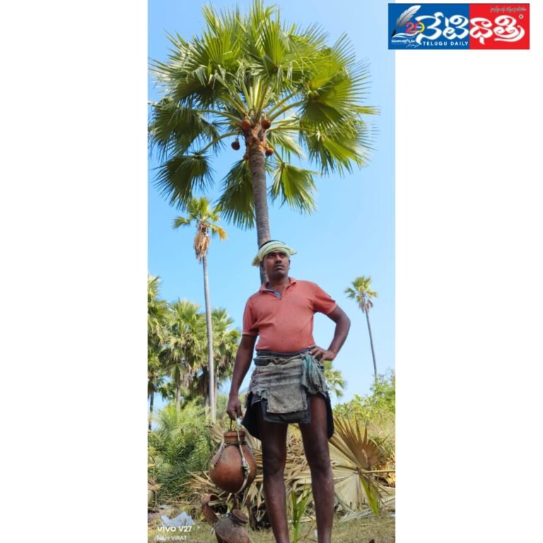 WhatsApp Image 2024-07-08 at 4.48.11 PM