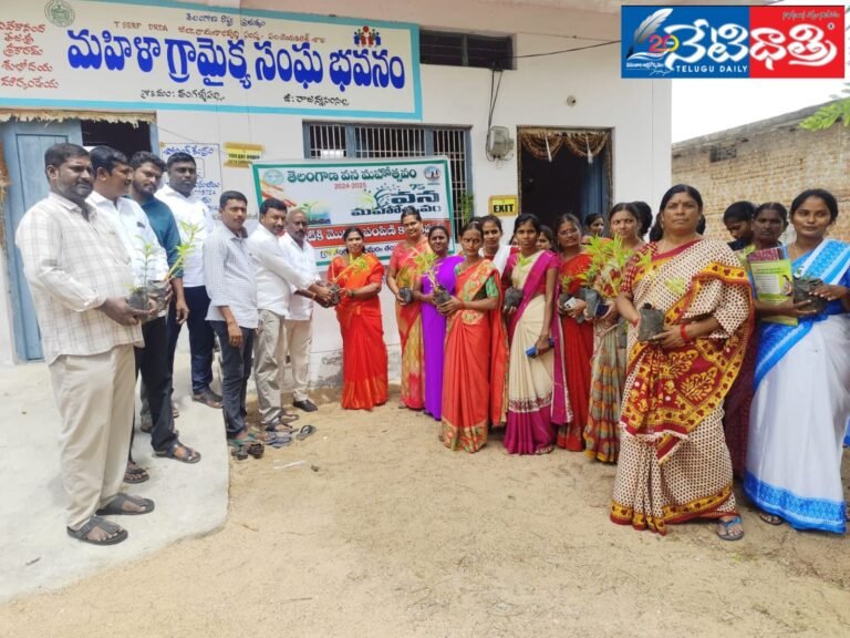 WhatsApp Image 2024-07-12 at 4.53.25 PM (1)