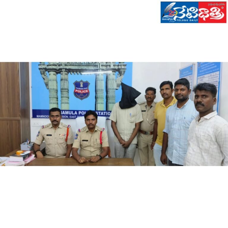 WhatsApp Image 2024-07-12 at 8.02.19 PM (1)