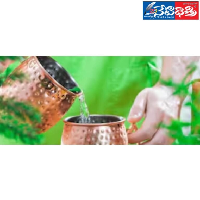 WhatsApp Image 2024-07-13 at 5.26.32 PM