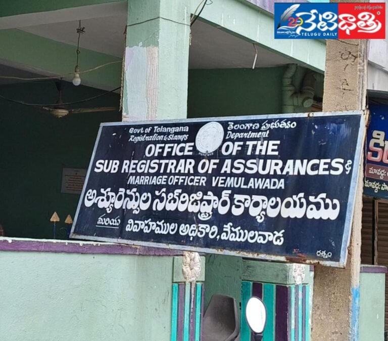 WhatsApp Image 2024-07-15 at 7.10.15 PM (1)