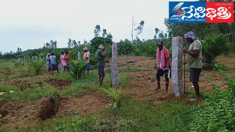 WhatsApp Image 2024-07-15 at 7.10.20 PM (1)