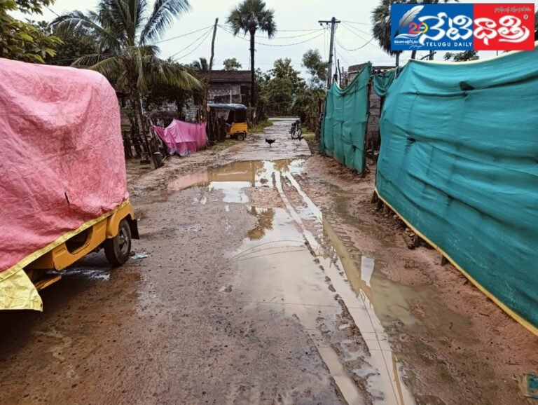 WhatsApp Image 2024-07-18 at 4.33.27 PM (1)