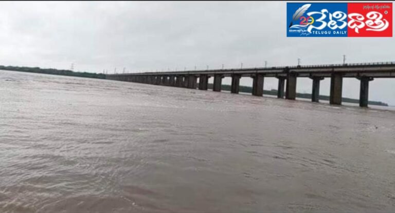 WhatsApp Image 2024-07-18 at 4.33.28 PM