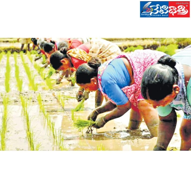 WhatsApp Image 2024-07-24 at 5.37.50 PM (1)