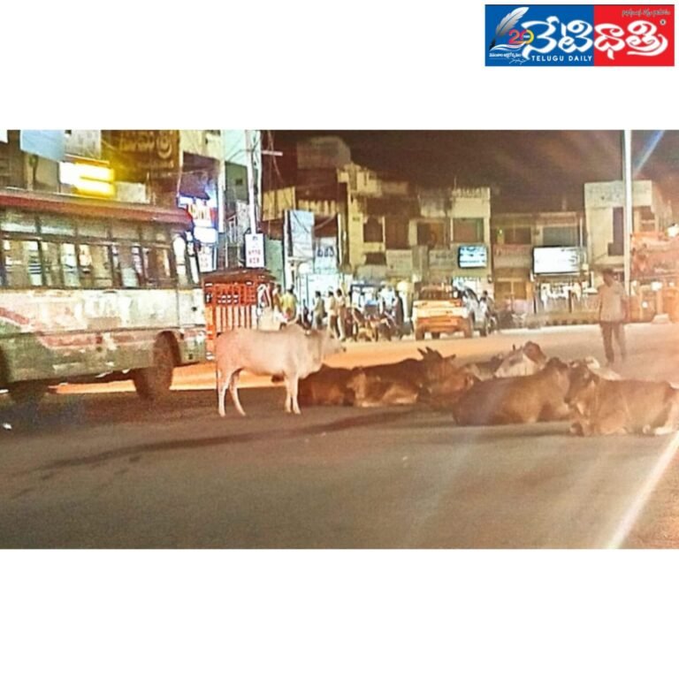 WhatsApp Image 2024-07-25 at 5.51.08 PM (3)