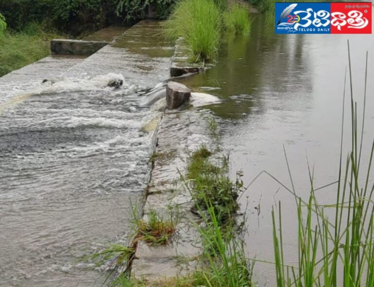 WhatsApp Image 2024-07-25 at 5.51.09 PM