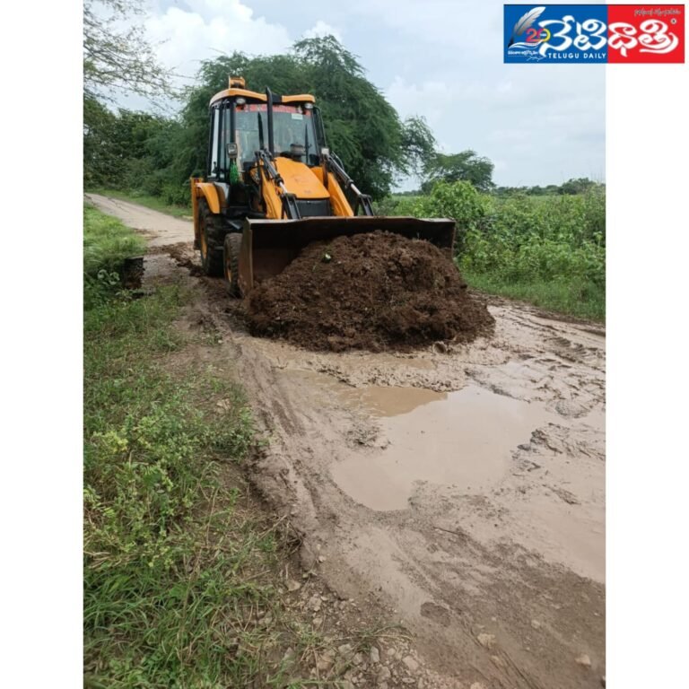 WhatsApp Image 2024-07-31 at 4.21.51 PM (2)